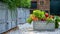 Crate full of freshly harvested vegetables. Homegrown organic produce concept. Sustainable farm.