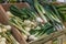 Crate with green onions in a greengrocer