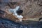 The crater of Bromo Volcano in Java, Indonesia