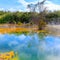 Crater lake in Kuirau park, Rotorua, New Zealand