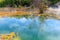 Crater lake in Kuirau park, Rotorua, New Zealand