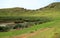 The crater lake with many abandoned Moai statues on the opposite slope, Rano Raraku volcano, Easter island, Chile