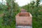 Crates in an apple orchard