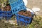 Crates filled with old rusty metal car parts