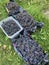 Crates and plastic boxes full of harvested grapes, purple grapes harvested on a home plot, whole bunches of purple grapes