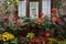 Crates of red blooming geraniums adorn windowsill of an outdoor cafe