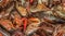 Crawdad boil - close-up of a pile of live raw crayfish - selective focus