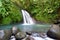 Crawfishes waterfall, guadeloupe