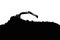 Crawler excavators silhouette