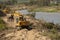 Crawler machine removing trees from the riverbank of the River Breede, Western Cape