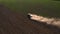 A crawler tractor cultivates the soil in an agricultural field. Top view flying on a drone. Diagonal angle in 4k video.