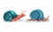 Crawling Snails as Shelled Gastropod with Coiled Shell Vector Set