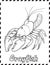 Crayfish Coloring Pages Drawing For Kids