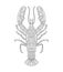 Crayfish with different pattern on white isolated background.For coloring book pages.