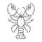 Crayfish, lobster hand drawn contour Illustration