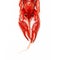 Crayfish lobster prawn on white background