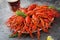 Crayfish. Red boiled crawfishes on table in rustic style, closeup.