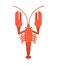 Crayfish red isolated. Marine crustacean Delicacy. Vector illustration