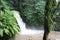 Crayfish waterfall in Guadeloupe