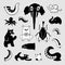 Crazy bizarre animal characters. Vector set of black and white stickers.