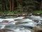 Crazy Creek in the Beartooth Wilderness, Absaroka-Beartooth National Forest, Wyoming