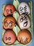 Crazy eggs terrified. Scared faces peering out of the egg tray