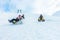 Crazy happy friends having fun with sledding on snow high mountains - Young millennial people making luge competition at white