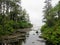 Crazy hike along the beautiful misty coasts and forest of Vancouver Island doing the rugged West Coast Trail. Many bridges and l