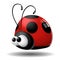 Crazy ladybug