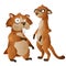 Crazy marmot and meerkat, funny cartoon animals