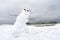 Crazy, melting snowman on a winter beach.