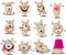 Crazy Mouse Cartoon Stickers Emoticon - Vector Illustration