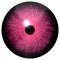 Crazy pink 3d eyeball isolated on white background, black little pupil