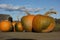 Crazy pumpkins outdoors under blue sky and clouds