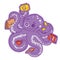 Crazy purple octopus