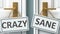 Crazy or sane as a choice in life - pictured as words Crazy, sane on doors to show that Crazy and sane are different options to