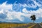 Crazy sky above road with one tree on horizon - oil painting style digital painting