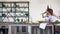 Crazy woman with ginger hair dancing, singing in spatula in kitchen and posing for camera, cheerful and happy