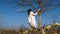 Crazy Woman Sawing Tree Branch