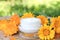 Cream for body care with calendula. Fresh orange calendula flowers on a wooden background in nature. Cosmetic cream for cleansing