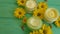 Cream capsule yellow flowers on treatment chamomile blue wooden protection