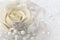 Cream color rose with jeweled crown