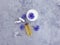 Cream cosmetic beauty moisturizing  flower cornflower on concrete background