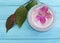 Cream cosmetic lotion ingredient toiletry magnolia handmade pink flowers on blue wooden