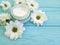 Cream fresh cosmetic, flower mask beauty product blossoming blue wood background