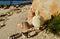 Cream snowman Christmas decoration on the beach shell beads Christmas in July
