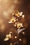 A creamy gold flowers with blurred brown background