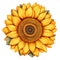 Create Beautiful Crafts with Colorful Sunflower SVGs, White, Sunflower Shirt, Clipart, Blossom, Png