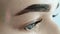 Create permanent eyebrow makeup. Eyebrow dyeing.