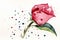 Create a watercolor illustration of a rosebud with a playful and whimsical twist